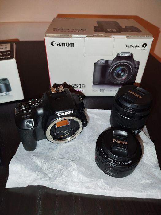 Canon 250d + lente kit 18 - 55 mm + lente Canon 50mm F1.8 - COMO NOVO
