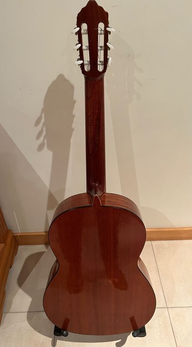 Guitarra AMAZÓNIA 100