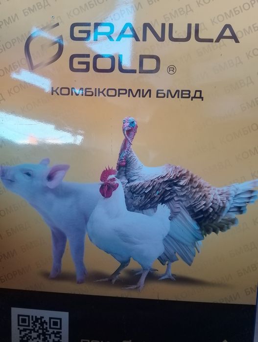 Курка несучка повнораціонний