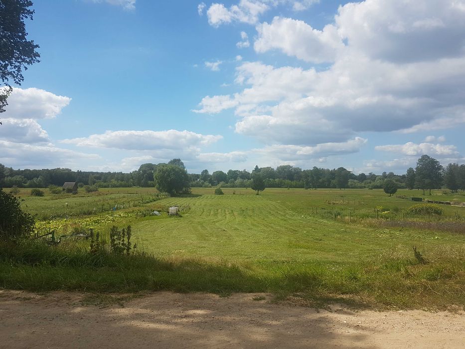 Sprzedam działkę rolną 4.800 m² z warunkami zabudowy w Mielniku w woj.podlaskim - Widok 2
