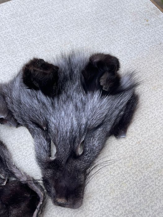 Хвост меховый чернобурки