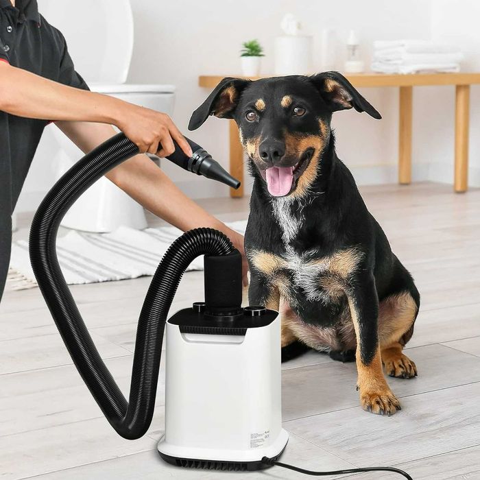 Secador de cabelo para cães 2000 W