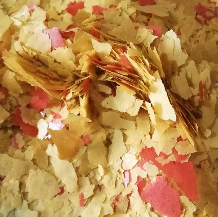 Flocos Tropicais, Alho, Spirulina 30%, Malawi, Etc.