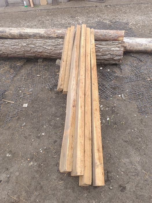 Baliki modrzewiowe, sosnowe, brzozowe