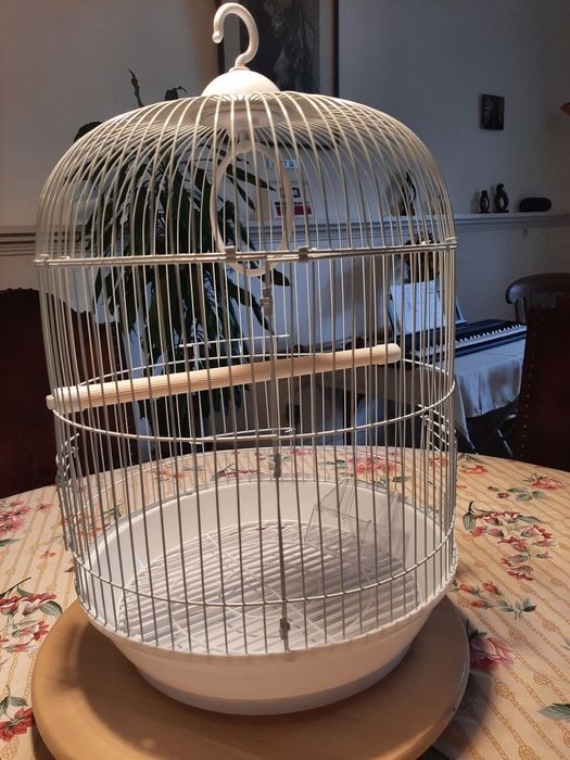 Gaiola da pássaro
