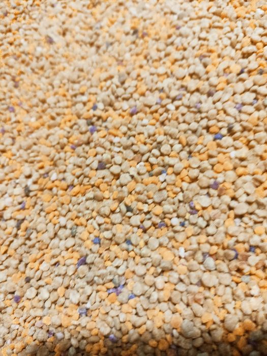 Бджолиний пилок очищений