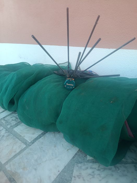 Máquina de azeitonas