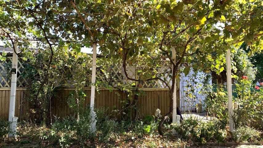 House by the address st. Ekonomichnaya Engelsa (area 135 m²) - Atlanta.ua - photo 3