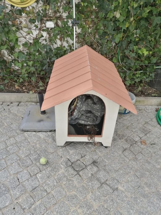 Casota para cão médio porte
