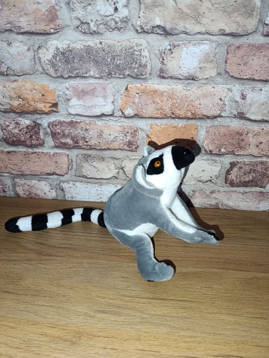Maskotka lemur kata jak nowa