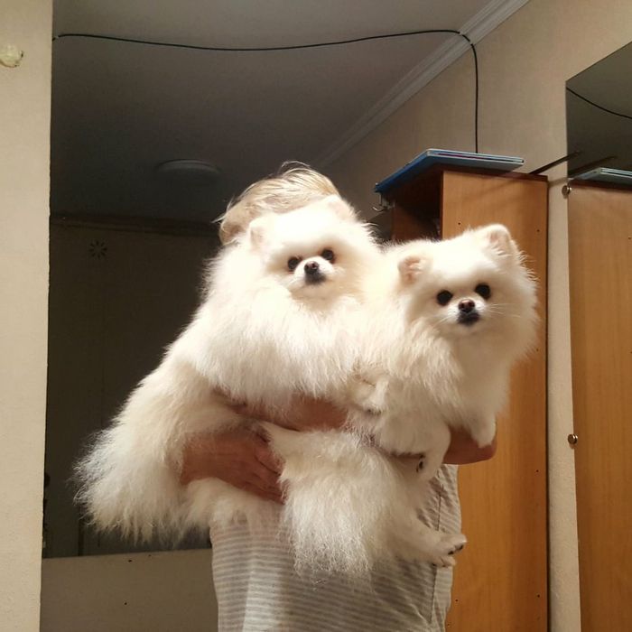 Хлопчик і дівчинка