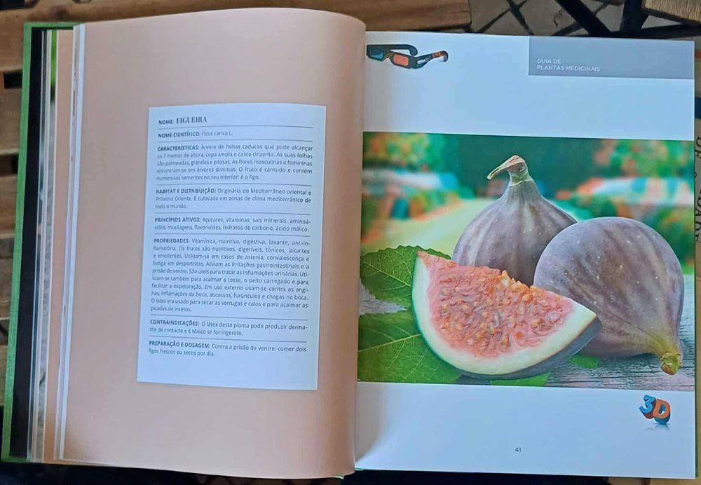 Grande Guia de Medicina naturalista