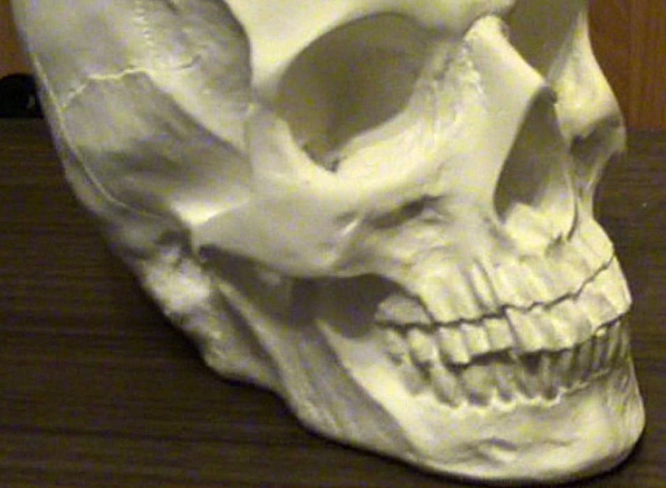Череп из гипса, череп гипсовый ручная робота
