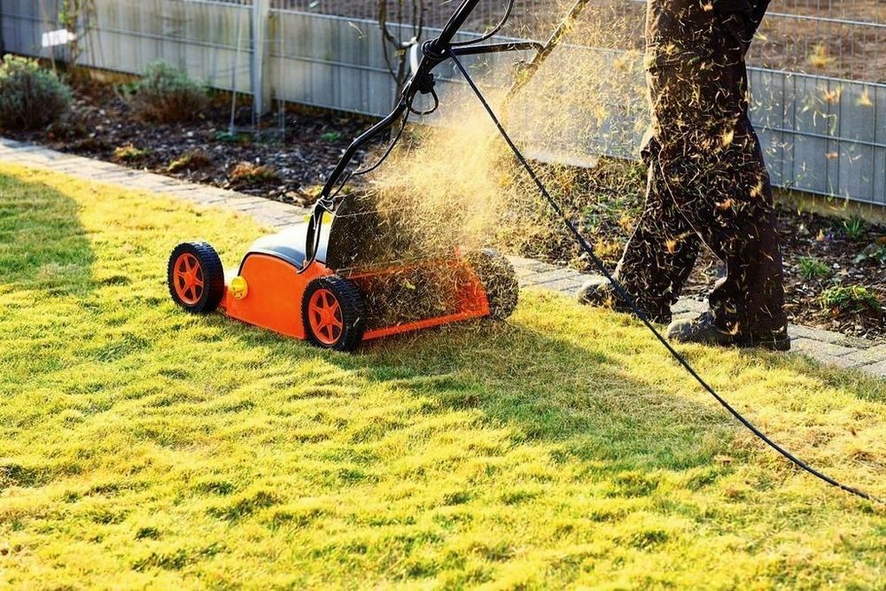 Весняний догляд за газоном та садом – скарифікація,підживлення,стрижка