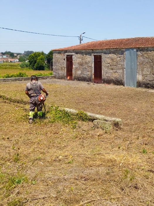 Faço Cargas de Entulho de Obras e Limpeza de Terrenos, Pintura
