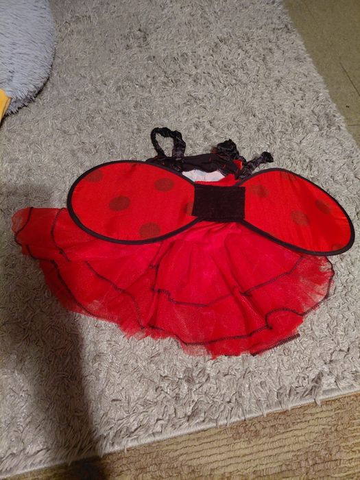 Strój karnawałowy biedronki