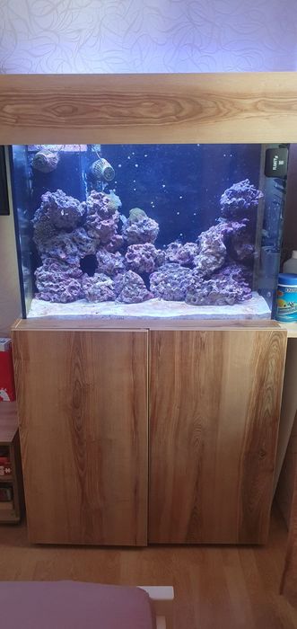 Морський акваріумний комплект