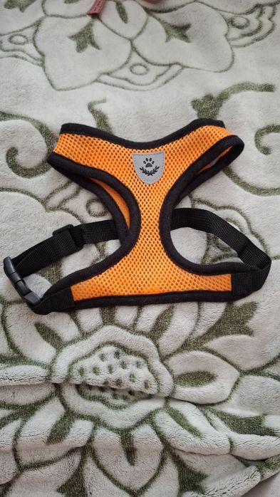 Шлея, жилет, поводок для собак