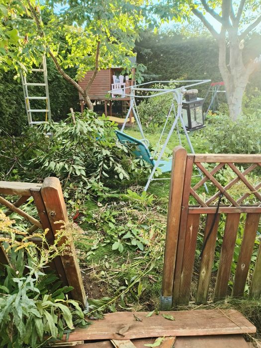 Gdynia i okolice- wiosenne przygotowanie ogrodu i posesji + mycie