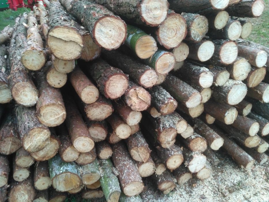 SŁUPKI ogrodzeniowe STEMPLE budowlane 3 metry SOSNA DĄB