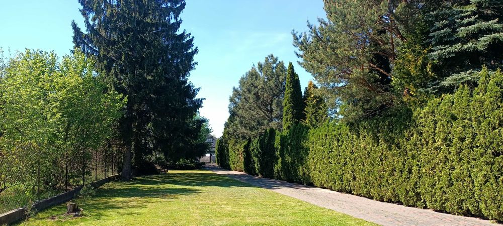 Bezpośrednio, cicha okolica