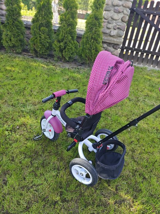 Rower trójkołowy Lorelli Jaguar. Rowerek dla dziecka