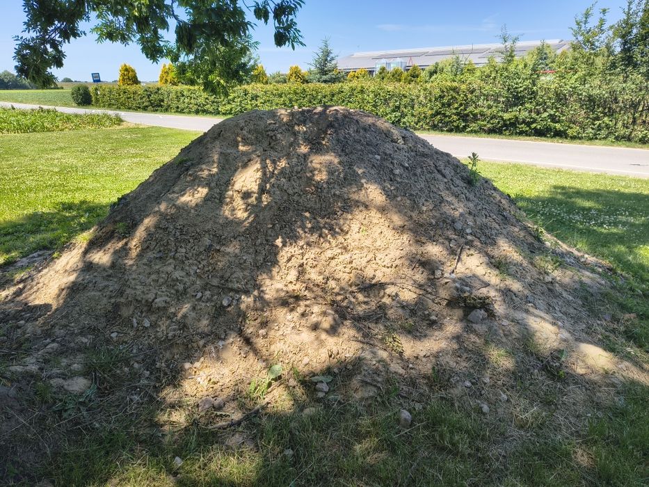 Oddam ziemię za darmo