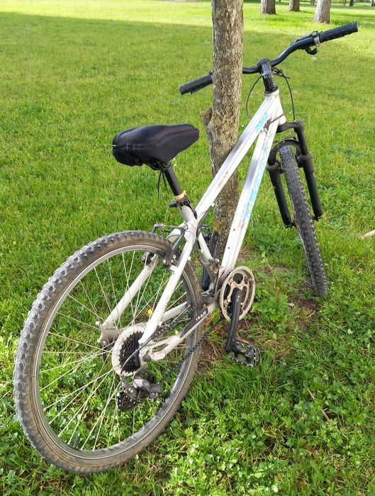 Bicicleta Team Cinza Roda 26