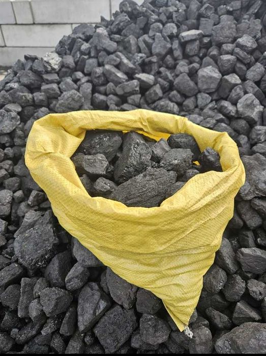 Węgiel, Kosta, Groszek, Orzech Luz i Worki