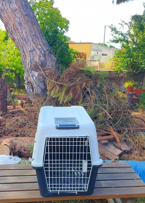Caixa de transporte para cães