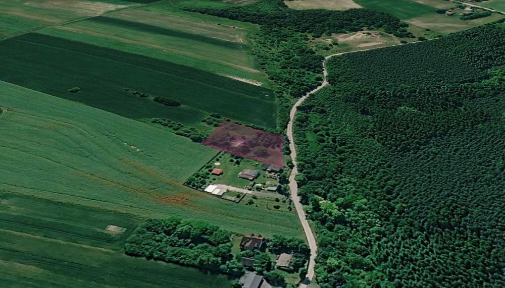 Atrakcyjna działka 22 ar, budynek mieszkalny (do remontu), przy lesie - Widok 5