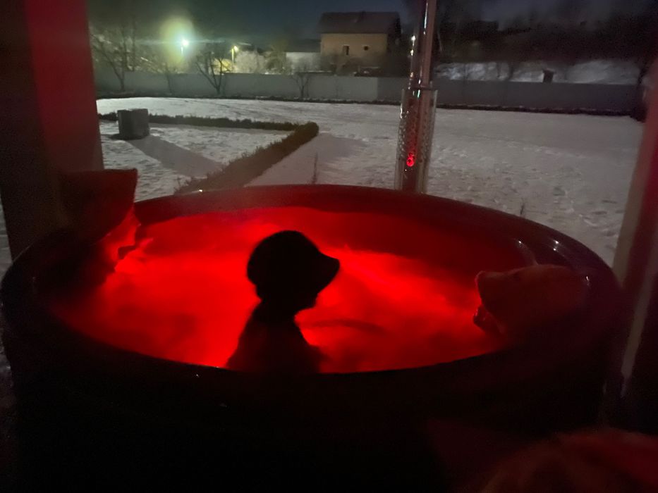 Басейн з підігрівом, сауна, чан, будиночок біля ставу подобово.