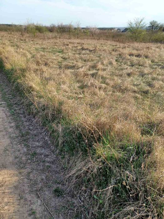 продам земельный участок г.Мерефа р-н (Поле чудес) ул. Рождественская