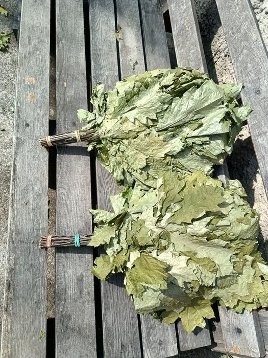 Веник для баньки, веники дубовые