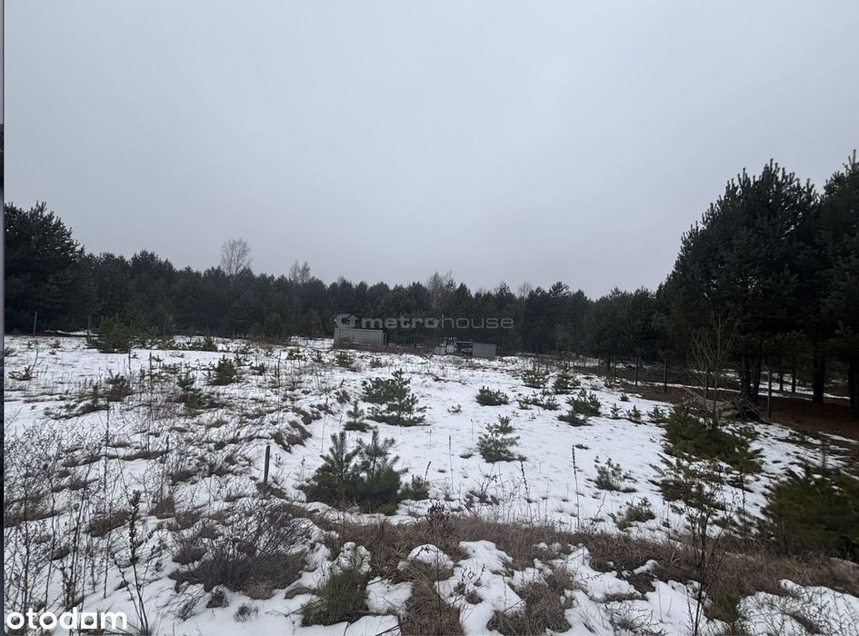 Działka na sprzedaż, Pradła1