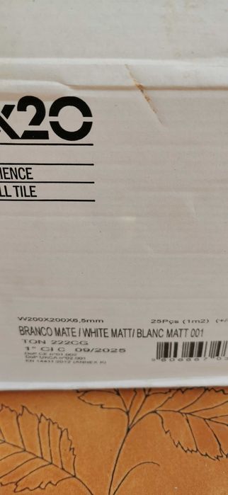 Azulejo branco 20X20