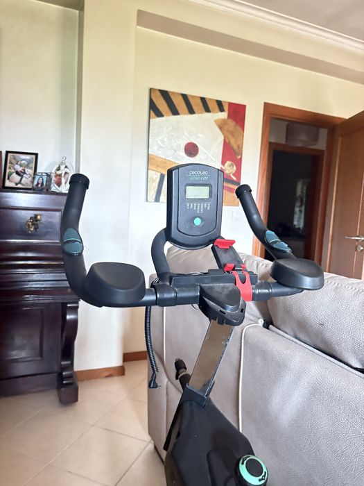 Bicicleta estatica cecotec