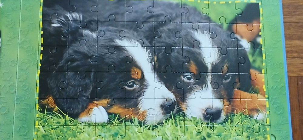 O meu livro puzzle de cães