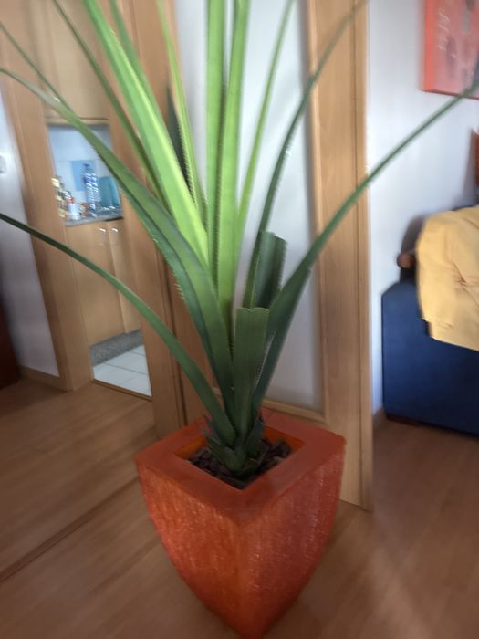 Decoraçoes de sala