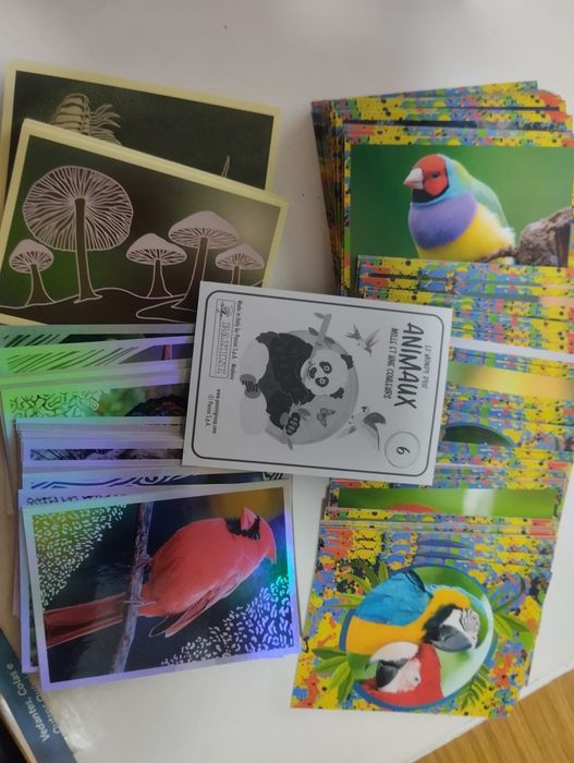 Cromos do Mundo Animal 1001 cores 2025