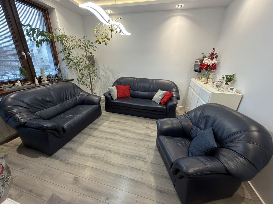 komplet wypoczynkowy (skórzany)