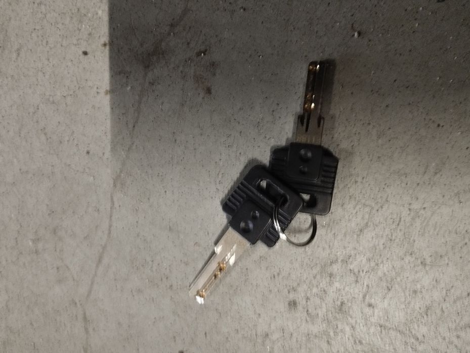 Padlock with Two Keys423920051862917122