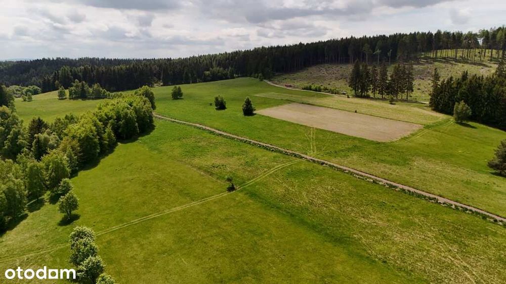 3 Działki W Bartnicy | 3009 M² Z Gotowymi Warunkami Zabudowy