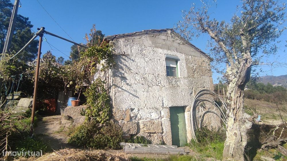 Moradia Devoluta T0 Venda em Santa Cruz do Douro e São Tomé de Covelas