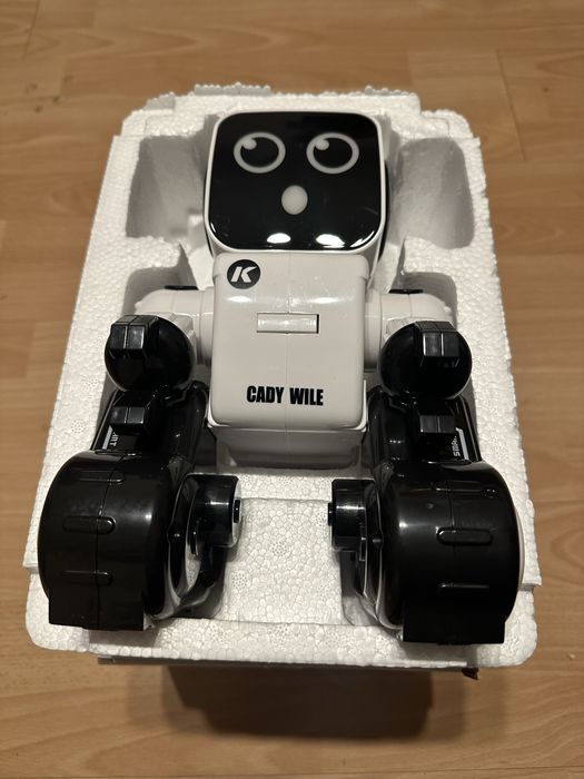 Interaktywny robot Cady Wille