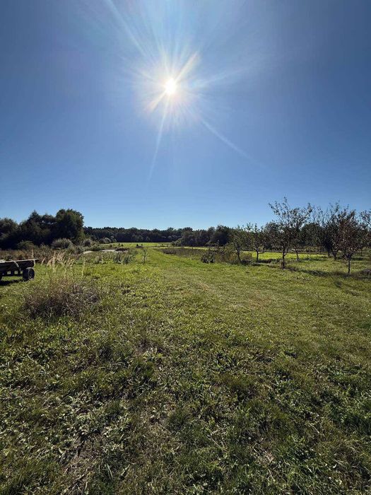 Земельна ділянка з будинком|с.Соснівка|Рівненська обл