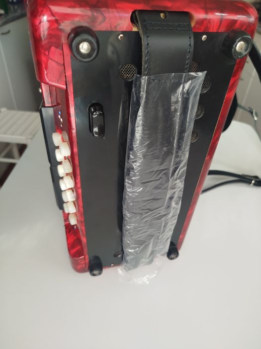 Concertina Dino Baffetti