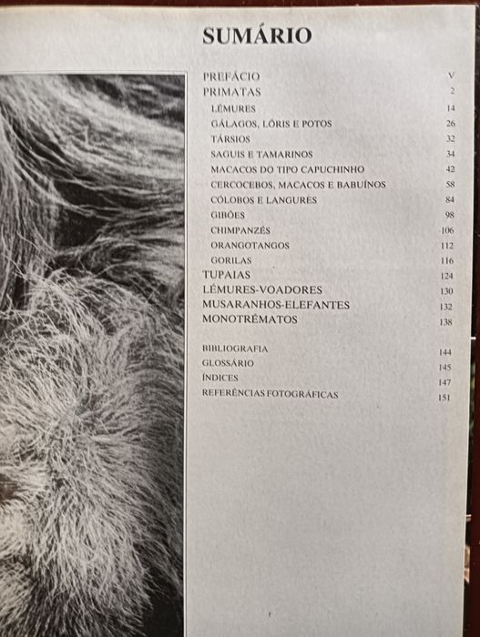 Primatas;	Coleção Animais de todo o Mundo do Circulo de Leitores.*