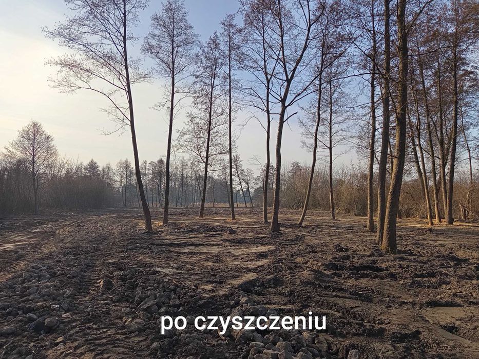 Wycinka drzew  czyszczenie działek wywóz gałęzi usuwanie karp