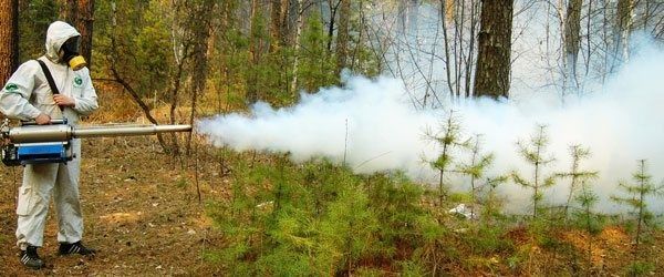 Обробка території від комарів